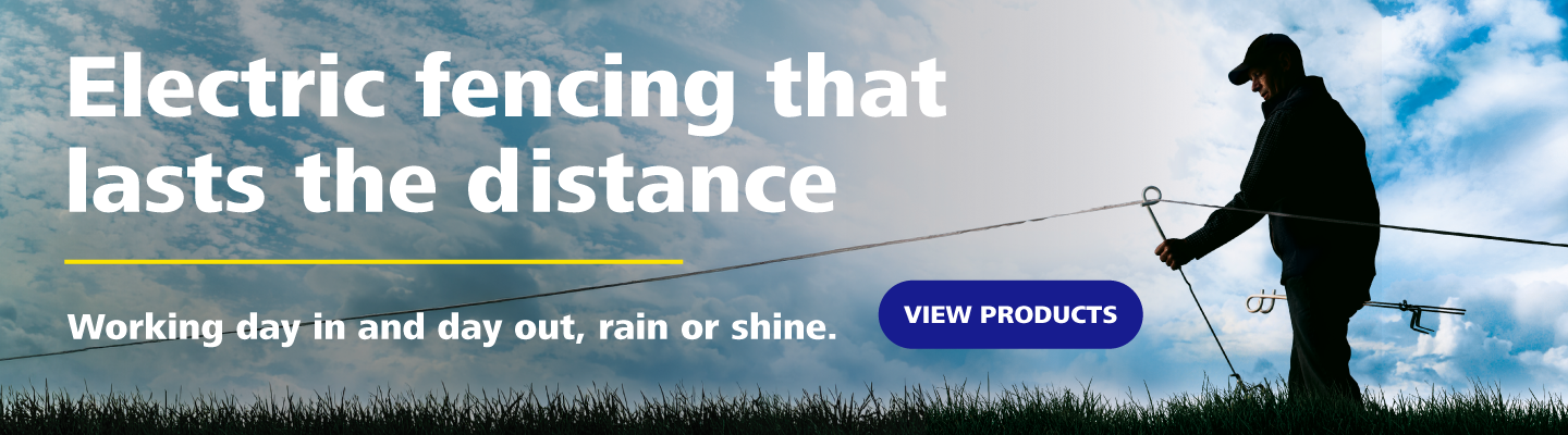 Pel desktop web banner