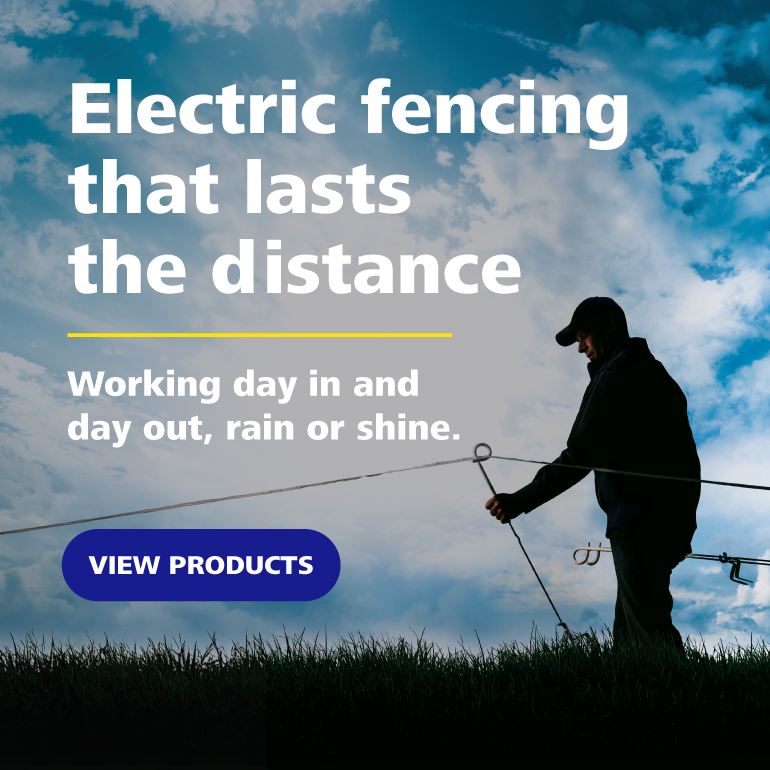 Pel mobile web banner